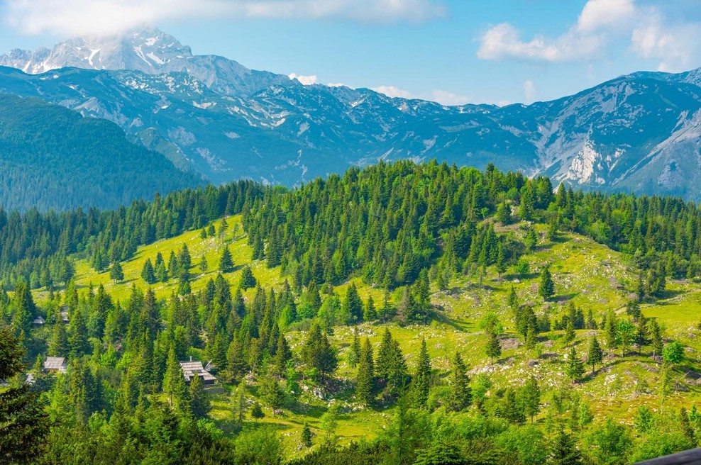 Turisti delili navdušenje o slovenski znamenitosti: "Obiskati ta kraj je čisti privilegij!" (foto: Profimedia)