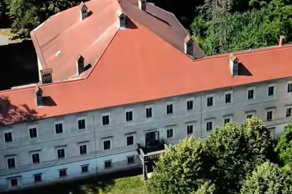 Naprodaj pravljični slovenski dvorec – vrtoglava cena in dramatična zgodovina (foto: TikTok/fesst.nepremicnine/posnetek zaslona)