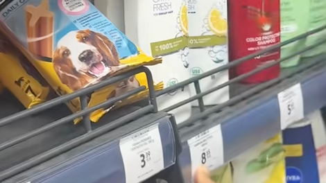 Avstralka ostala brez besed ob cenah v hrvaškem marketu: “Hrvati, povejte mi, kako živite?!”