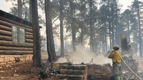 Požar v enem najbolj znanih parkov na svetu – izgubljen je dragocen del zgodovine
