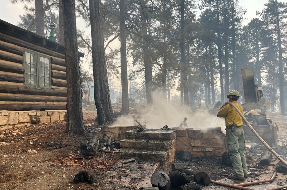 Požar v enem najbolj znanih parkov na svetu – izgubljen je dragocen del zgodovine (foto: Profimedia)