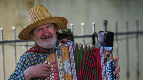 moski harmonika harmonikas