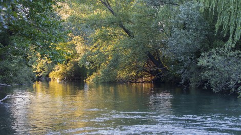 Vipava