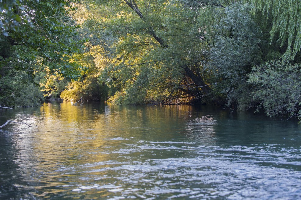 Pretresljivo: občan v reki Vipavi opazil človeško nogo, sledil je žalosten prizor (foto: Žiga Živulovič jr./Bobo)
