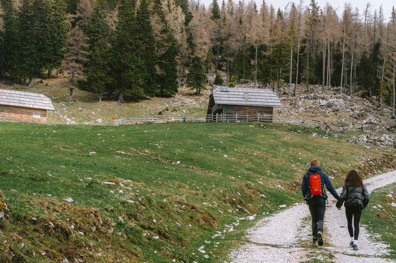 Slovenija gozd par turisti narava