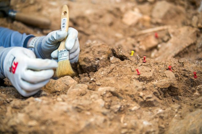 Gran Dolina Španija zgodovina človeštvo arheologija kanibalizem
