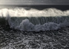 Na dnu morja so znanstveniki odkrili nekaj grozljivega: skrivnostno bitje so poimenovali "krogla smrti" - in to z dobrim razlogom