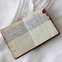 moški skrivni dnevnik žena ločitev odnosi