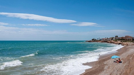 plaža modri zmaj španija valencia nevarnost strup