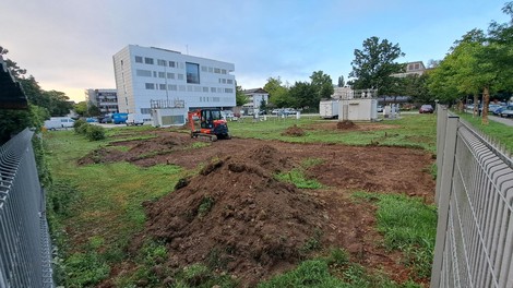Podnebne spremembe v realnem času: nova fenološka ura v Ljubljani