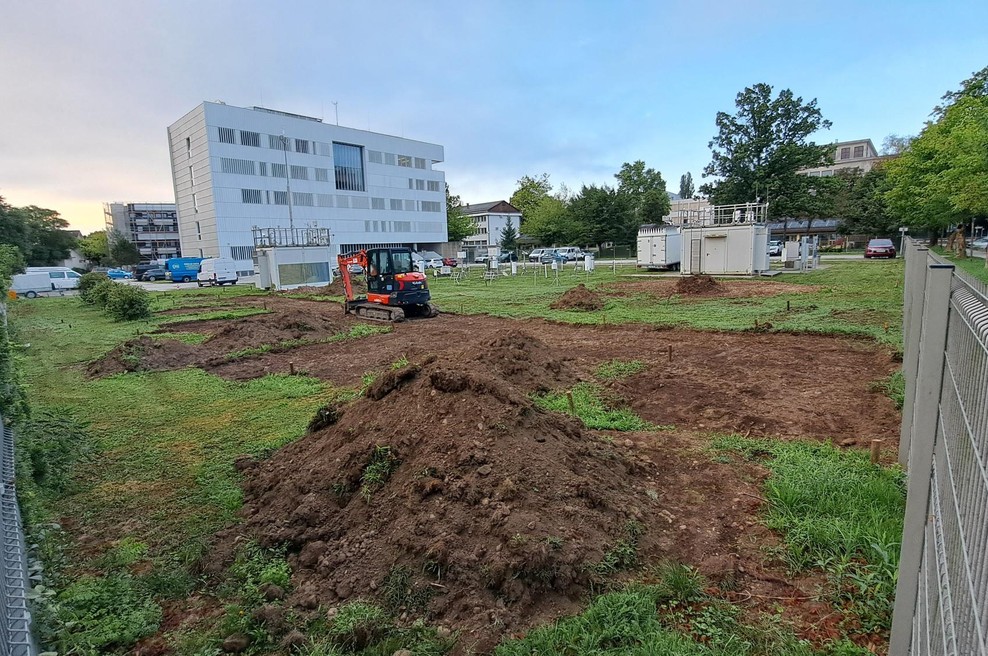Podnebne spremembe v realnem času: nova fenološka ura v Ljubljani (foto: Agencija za okolje)
