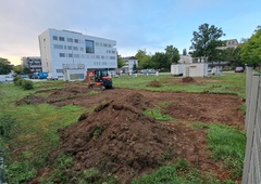 Podnebne spremembe v realnem času: nova fenološka ura v Ljubljani