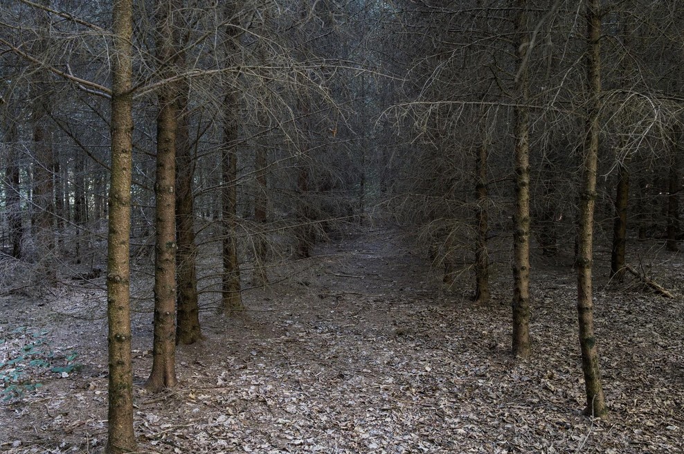 Brez hrane, vode in signala – po enajstih dneh v divjini se je popotnici zgodilo nepričakovano (foto: Profimedia)