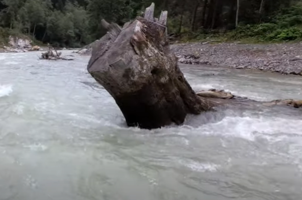 Piknik v naravi se je sprevrgel v tragedijo brez primere: 14-letnemu fantu ni bilo pomoči (foto: YouTube/posnetek zaslona)