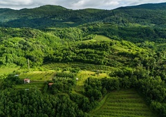 Vipavska dolina razkriva vinsko skrivnost, ki jo morate okusiti