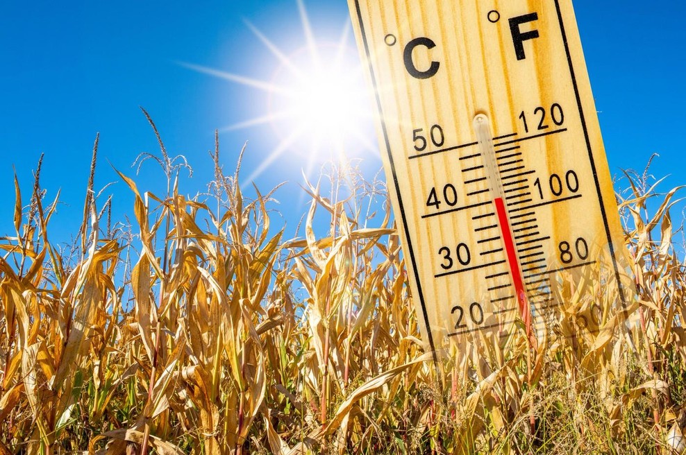 Vročina ne bo popuščala: Arso zaradi visokih temperatur izdal opozorilo (foto: Profimedia)
