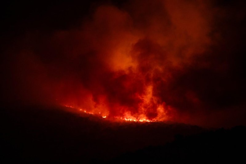 Ponoči izbruhnil grozljivi požar, v katerem je umrlo najmanj 25 ljudi