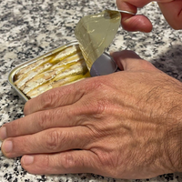 sardele riba konzerva