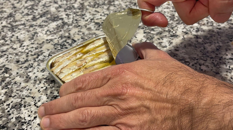 sardele riba konzerva