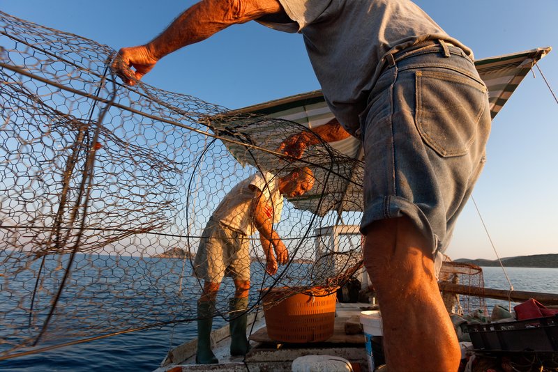 Kornati morje ribici