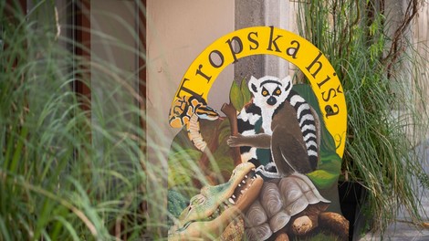 Ima velike oči, je strupena in skoraj izumrla - zdaj živi pri nas