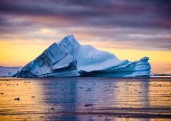 Grozljiv napad ogromne zverine v njenem naravnem okolju so posnele kamere, nevarni plenilec je pokazal vse svoje veščine
