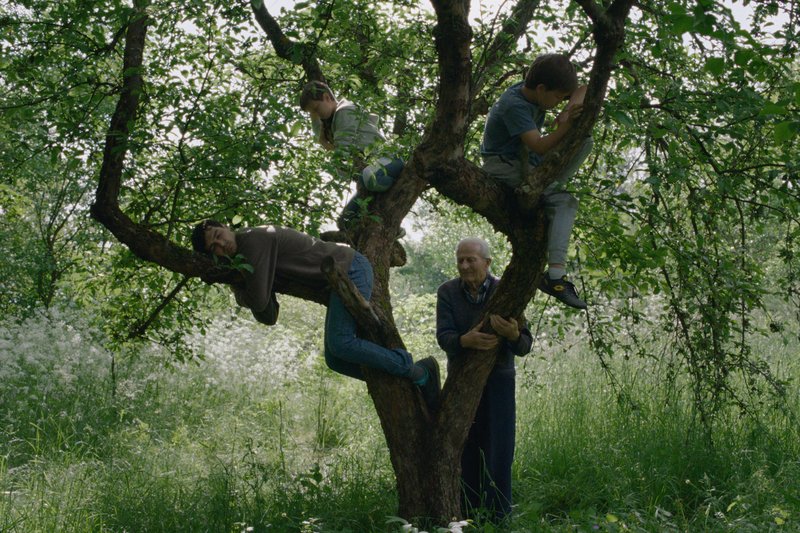 Veter govori mi film sarajevski filmski festival