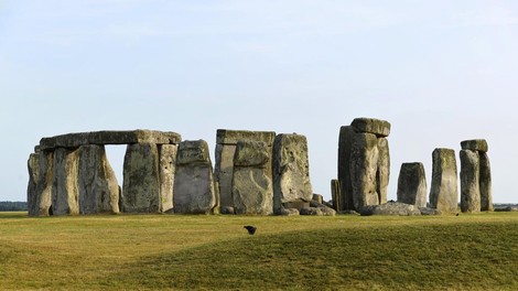 kravji zob Stonehenge wales krava zgodovina arheologija človeštvo