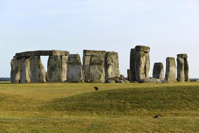 kravji zob Stonehenge wales krava zgodovina arheologija človeštvo