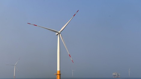 Študija: vetrne elektrarne ogrožajo morsko okolje