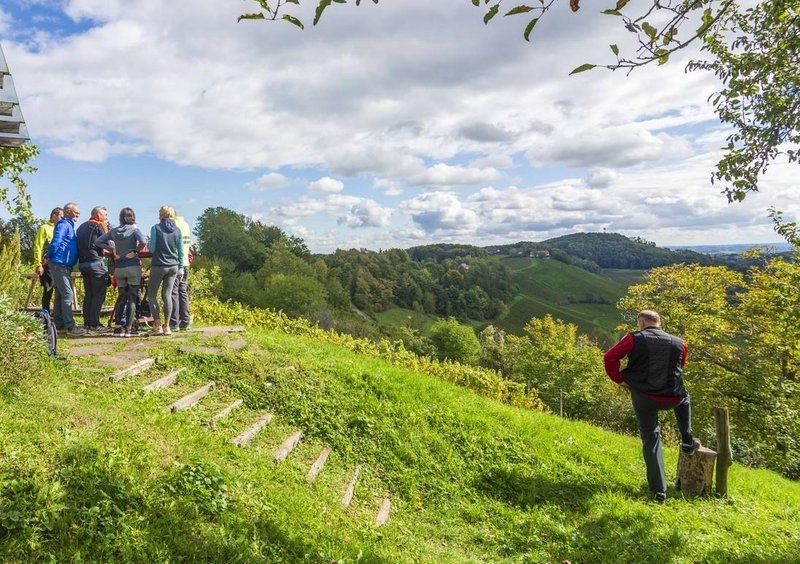 Slovenija vinogradi turisti razgled
