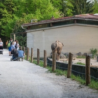 ZOO Ljubljana