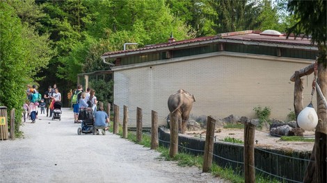 ZOO Ljubljana