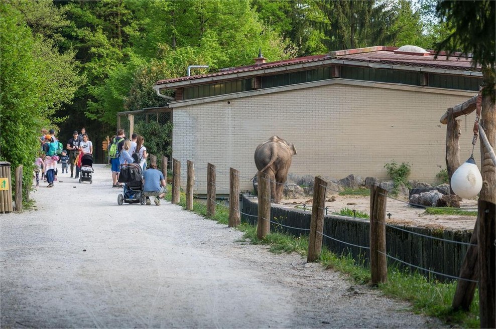 Fotografija je simbolična. (foto: Profimedia)
