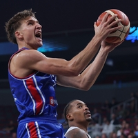 Bogdan Bogdanović