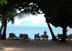 Ko so na rajski plaži nepričakovano zagledali to morsko pošast, so v šoku obnemeli, vse skupaj je zabeležilo oko kamere