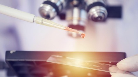 živali evolucija znanost odkritje zemlja planet