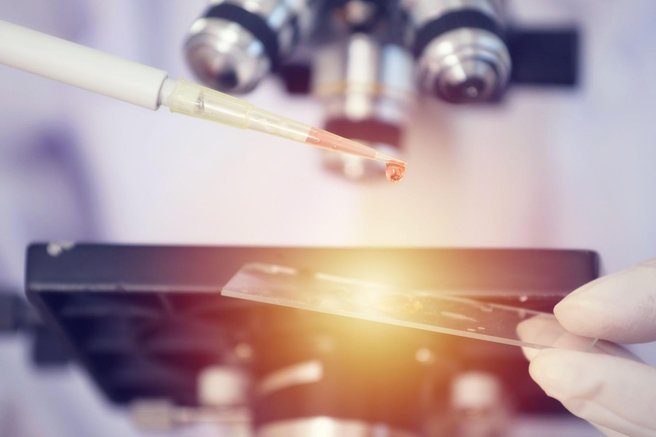 živali evolucija znanost odkritje zemlja planet
