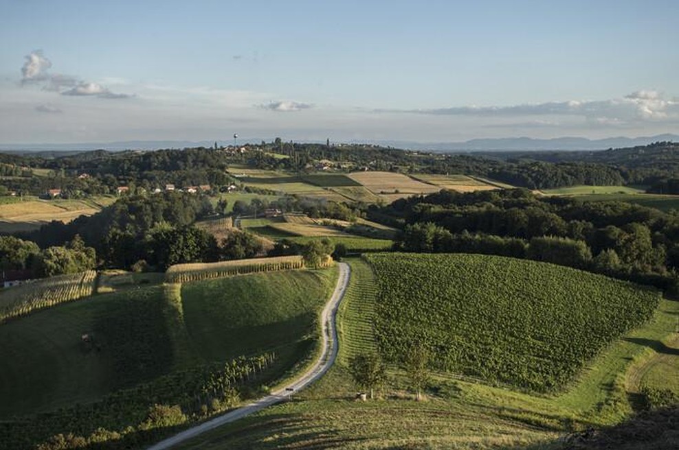 Odkrivamo še en razlog, zakaj Slovenci obožujemo Hrvaško: ni morje, je pa velika slovenska strast! (foto: Bojan Haron Markičević)