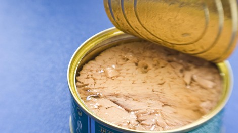 tuna