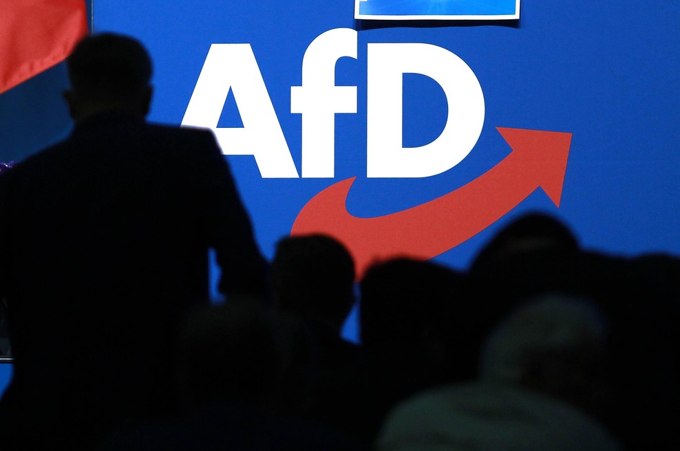 "Nenadoma in povsem nepričakovano" umrlo več kandidatov skrajne nemške stranke AfD (foto: Profimedia)