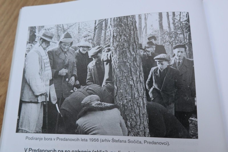 Stara slovenska šega je preživela stoletja: zdaj jo duši birokracija