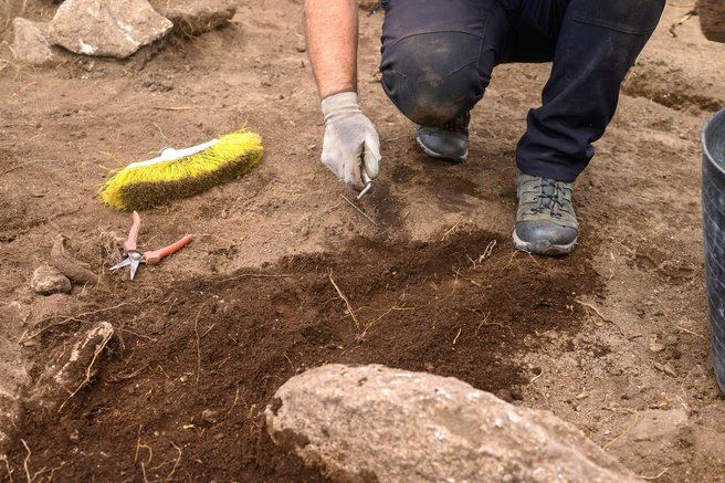 arheologija odkritje gvatemala najdba zgodovina maji