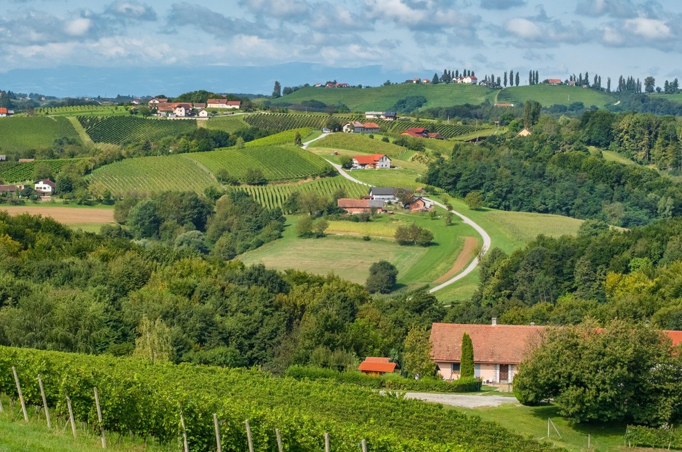 Nova turistična atrakcija v Sloveniji: pot, po kateri se boste želeli sprehoditi (foto: Profimedia)