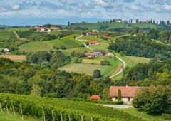Nova turistična atrakcija v Sloveniji: pot, po kateri se boste želeli sprehoditi