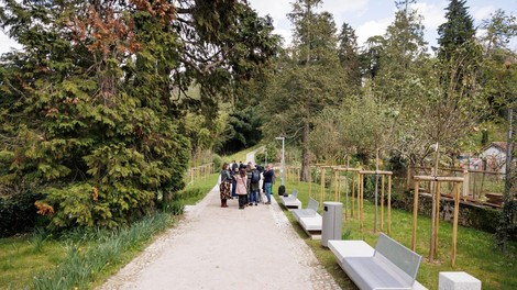 Skriti park, kjer drevesa pripovedujejo zgodbe – popolna ideja za izlet