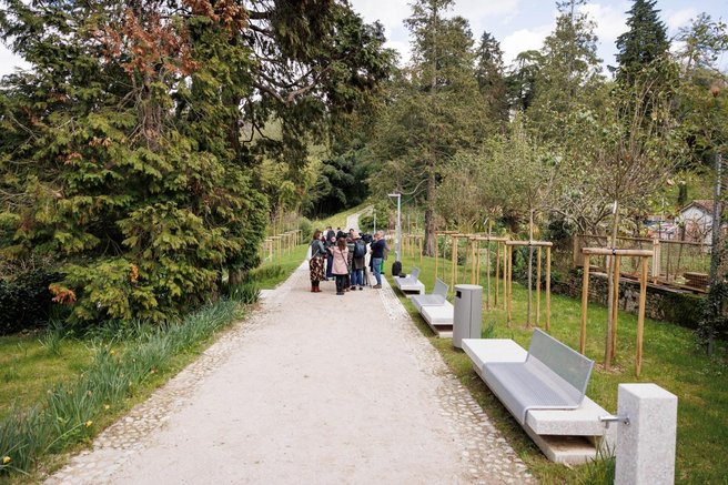 Skriti park, kjer drevesa pripovedujejo zgodbe – popolna ideja za izlet
