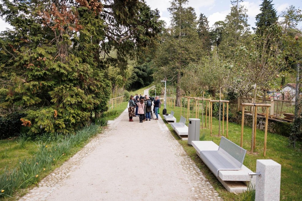 Skriti park, kjer drevesa pripovedujejo zgodbe – popolna ideja za izlet (foto: Nebojša Tejić/STA)