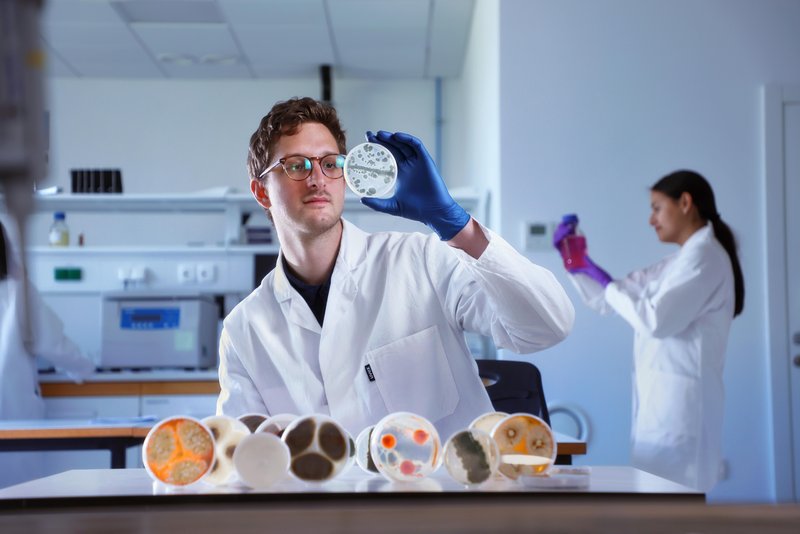 S podporo EU ekipa na InnoRenew Centru odličnosti izkorišča moč gliv za ustvarjanje živega, samozdravilnega biofilma.