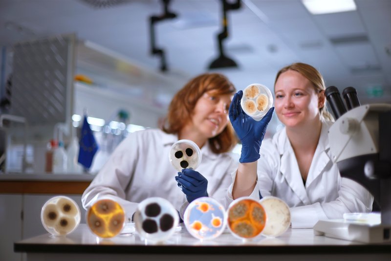 Anna Sandak in Anja Černoša sodelujeta v ekipi s sedežem v Izoli.